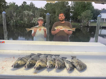 Bay St Louis Report Photo 1