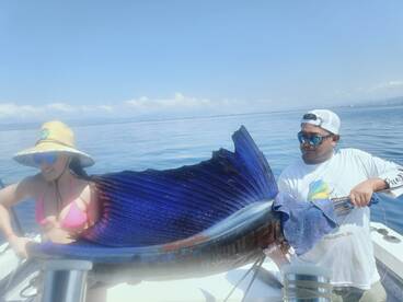 Puerto Vallarta Report Photo 2