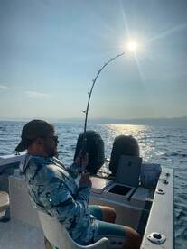 Puerto Vallarta Report Photo 2