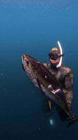 Herradura Report Photo 2