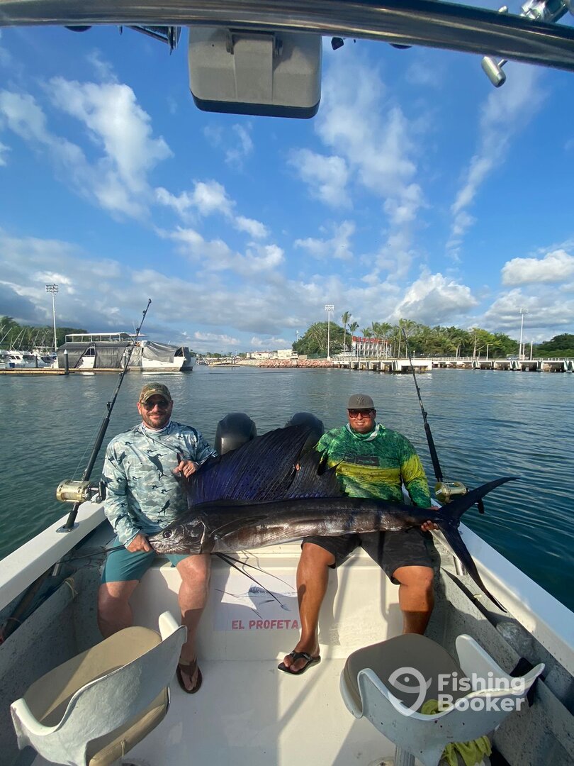 Puerto Vallarta Report Photo 0