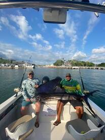 Puerto Vallarta Report Photo 1