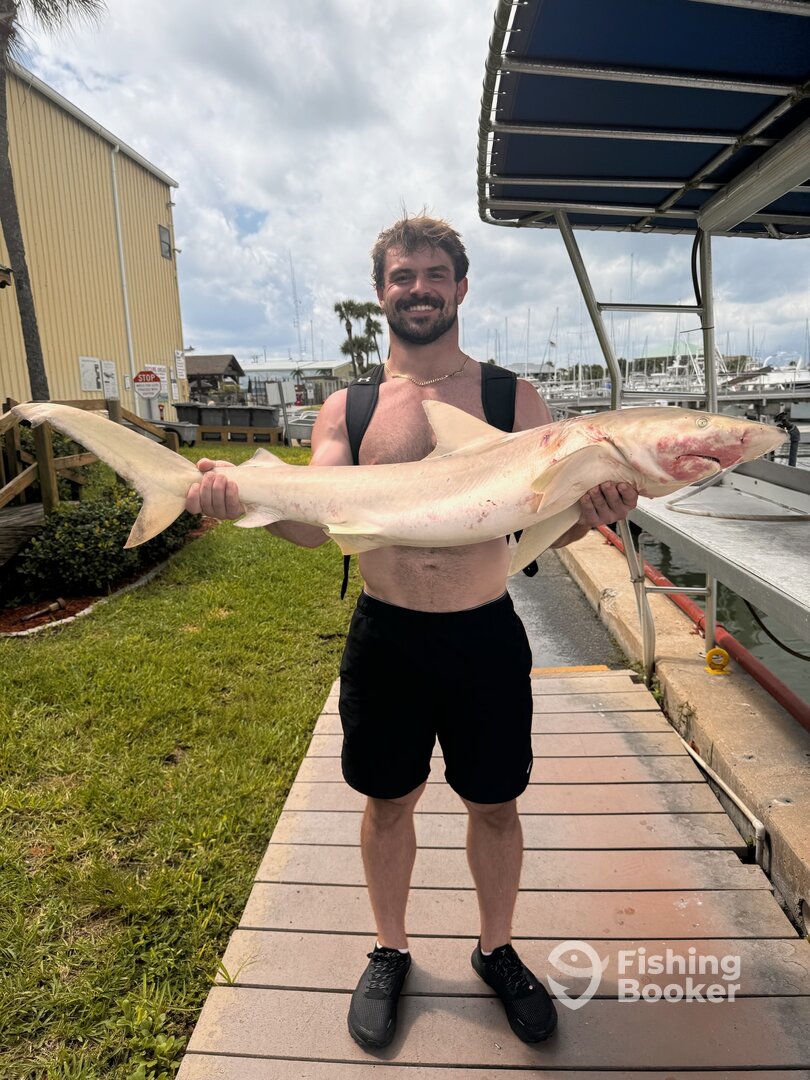 Port Canaveral Report Photo 0