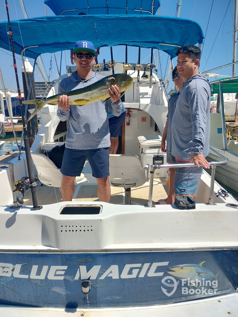 Cabo San Lucas Report Photo 0