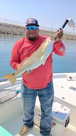 San Antonio Report Photo 1