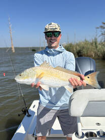 Venice Report Photo 1