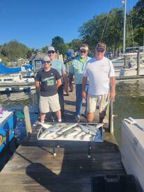 The Blue fish are Snapping. 