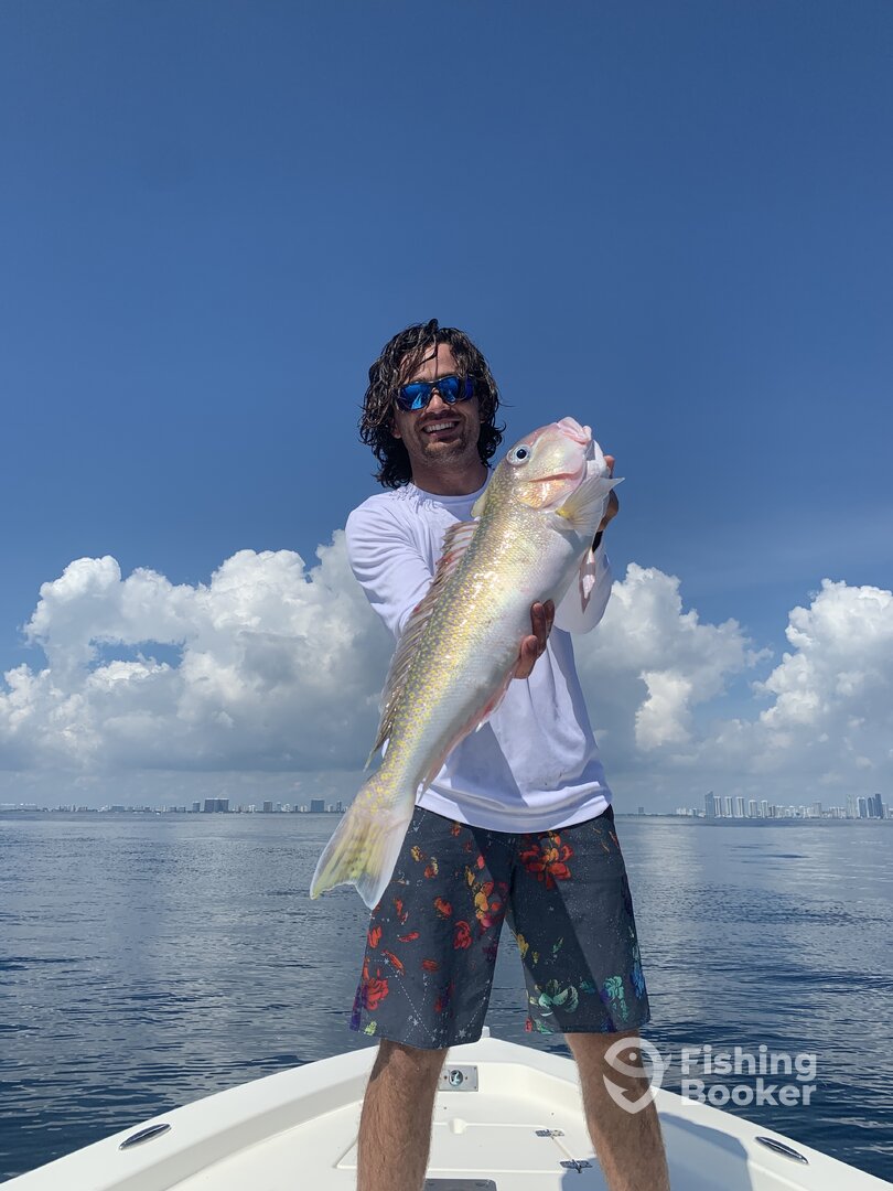 North Miami Report Photo 0