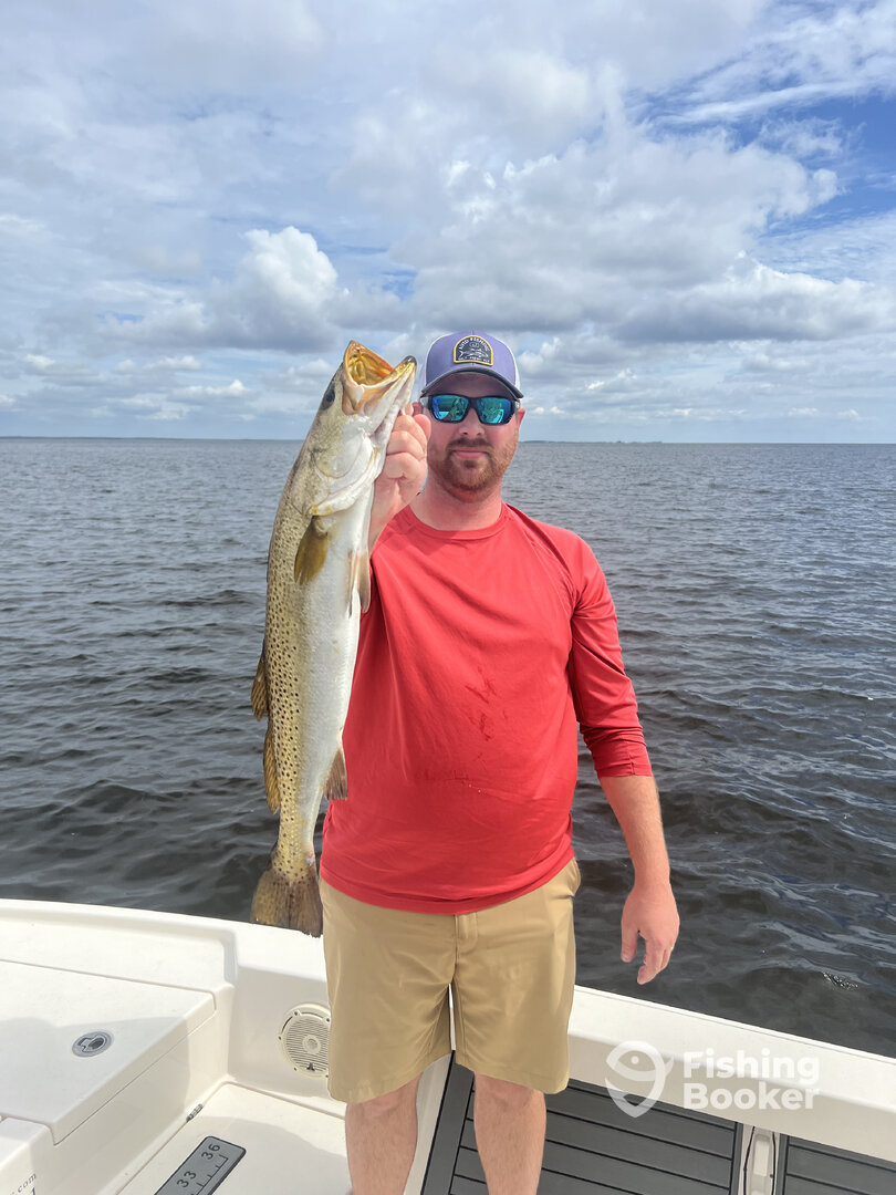 Crawfordville Report Photo 0