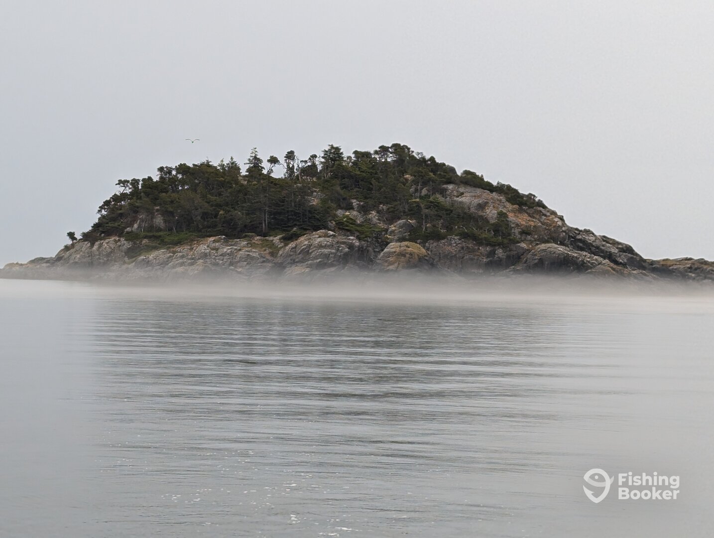 Sooke Report Photo 0