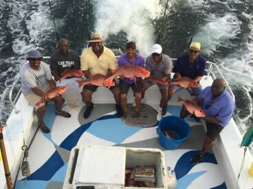 Orange Beach Report Photo 1