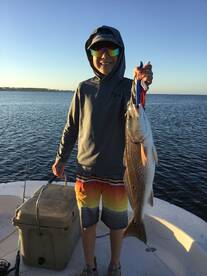 Port St. Joe Report Photo 1