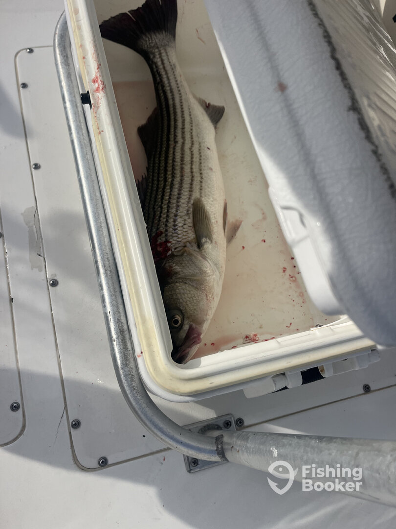 Somers Point Report Photo 0