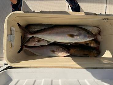 Barcelona Report Photo 2