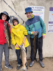 Pulaski Report Photo 1