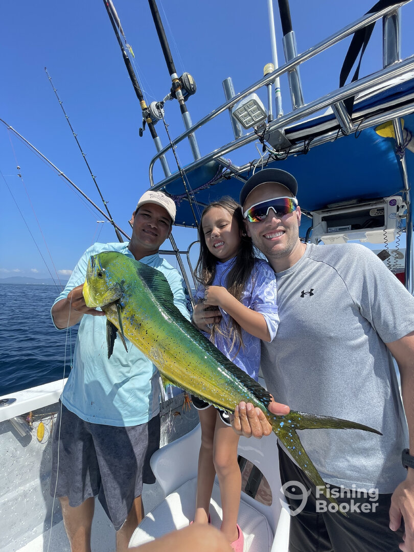 Puerto Vallarta Report Photo 0