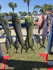 Panama City Beach Report Photo 2