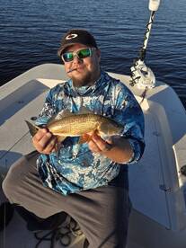 Calling All Artificial Enthusiasts 