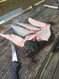 Houston Report Photo 2