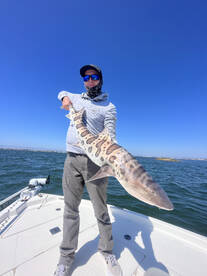 Fun Fall Fishing in San Diego Bay