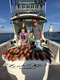 No stop action on our local trips 