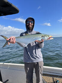 St. Petersburg Report Photo 2