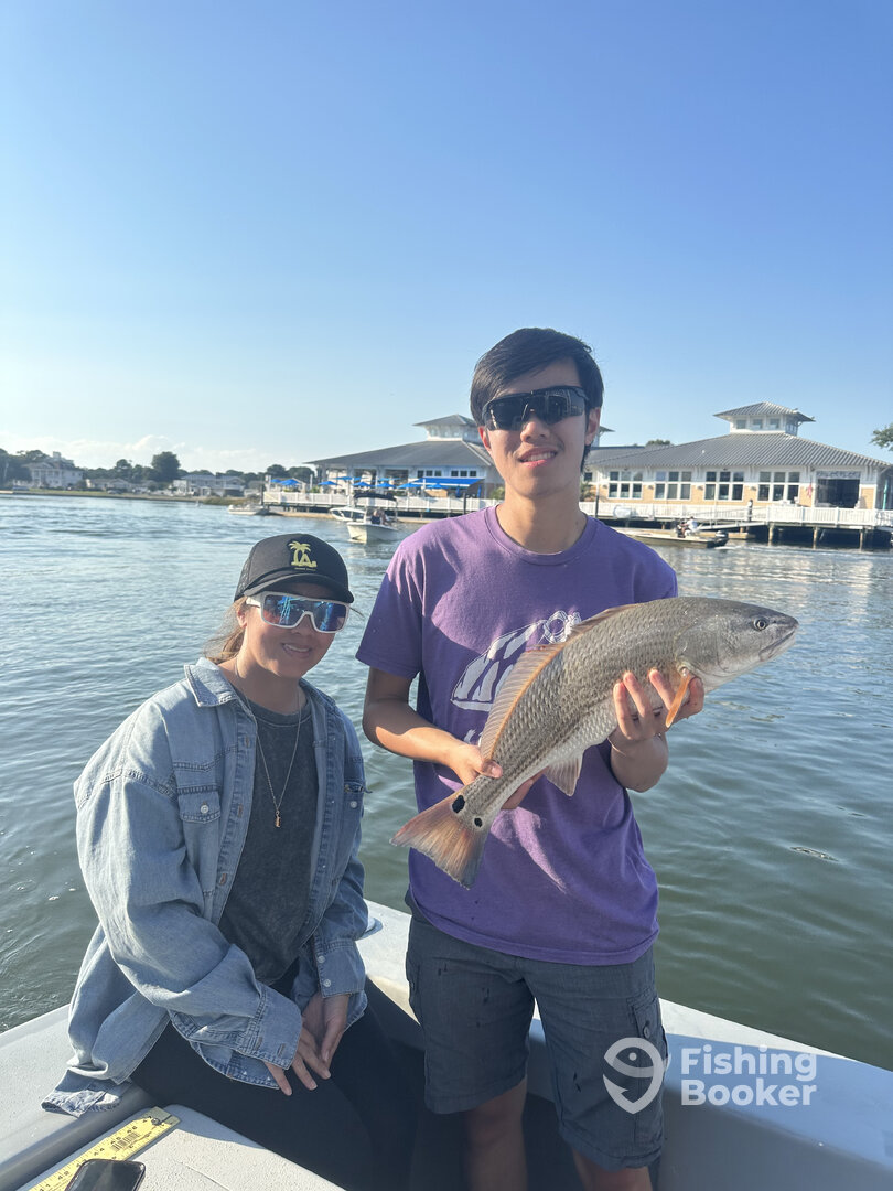 Virginia Beach Report Photo 0