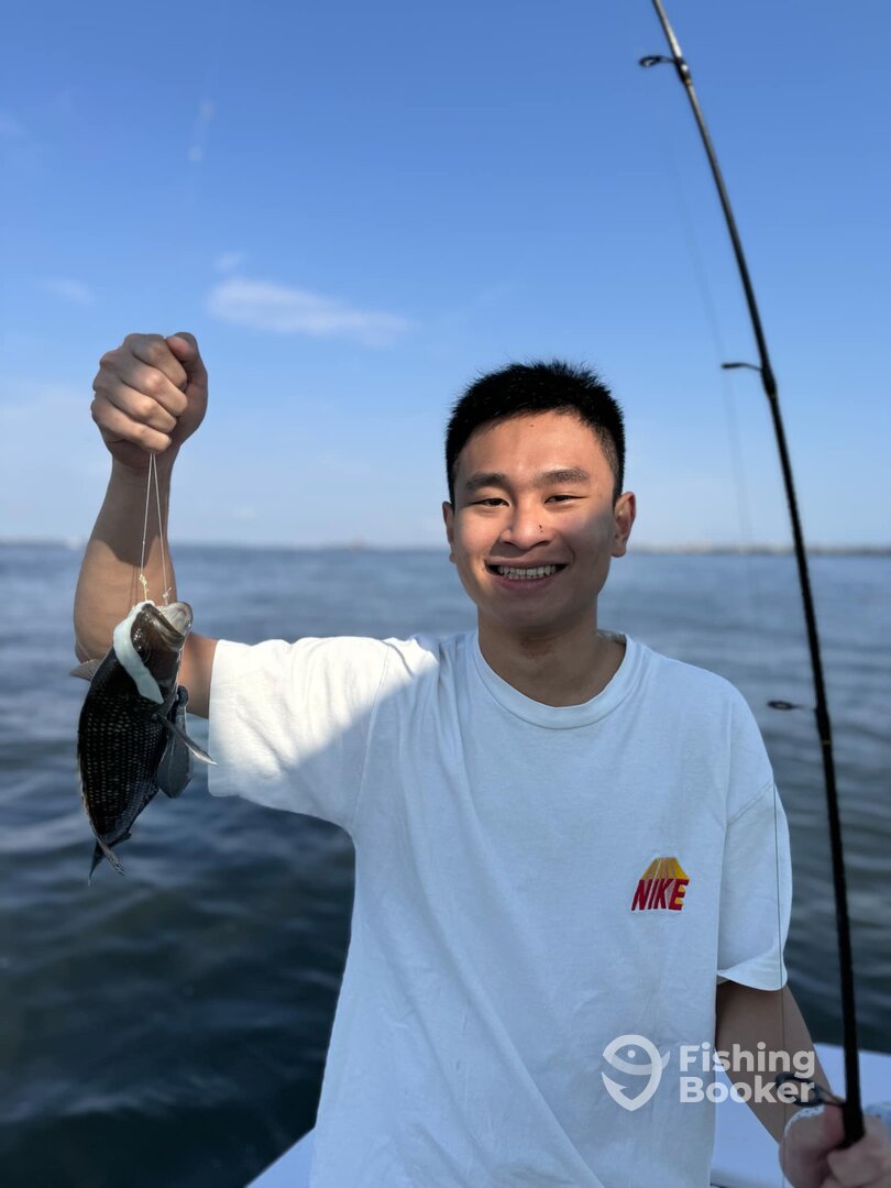 New York City Report Photo 0