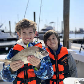 New York City Report Photo 2