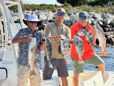 Another post hurricane smackdown!