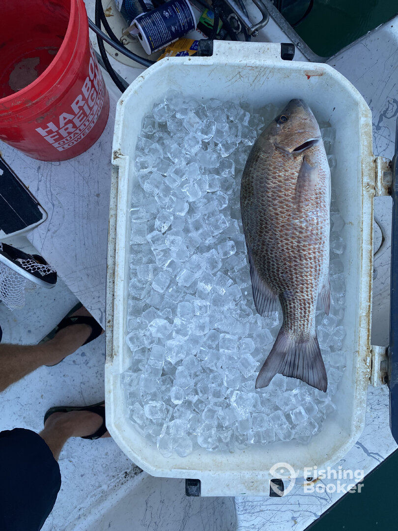 Port Canaveral Report Photo 0