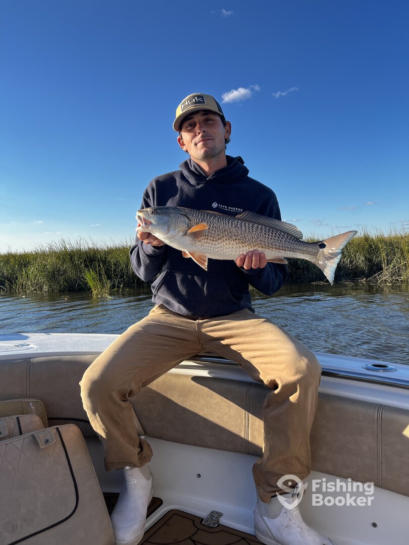 Savannah Report Photo 0