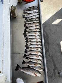 Savannah Report Photo 2