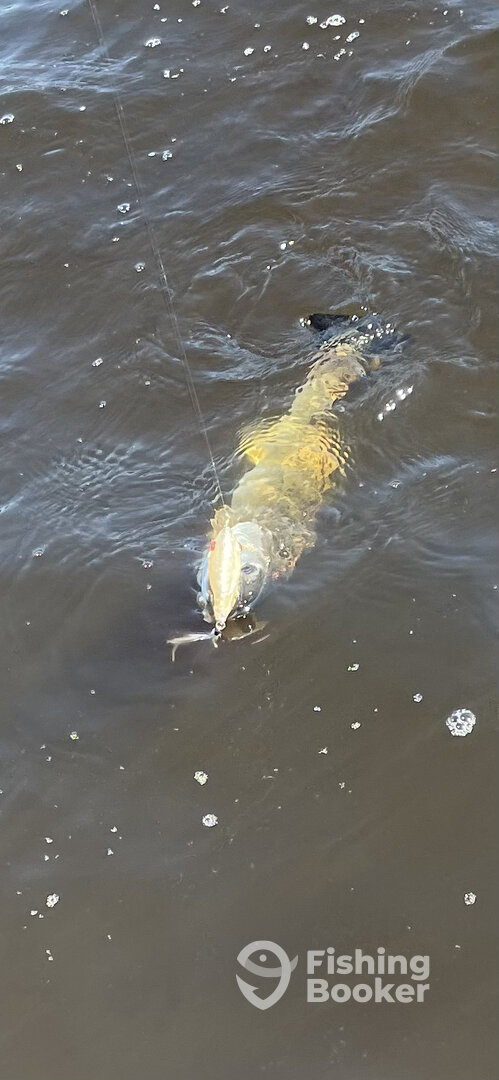 Greenville Report Photo 0