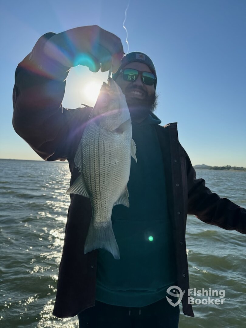 Grapevine Report Photo 0