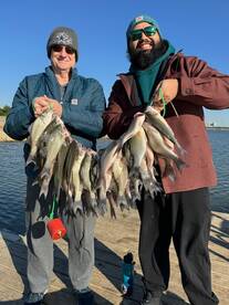 Grapevine Report Photo 2