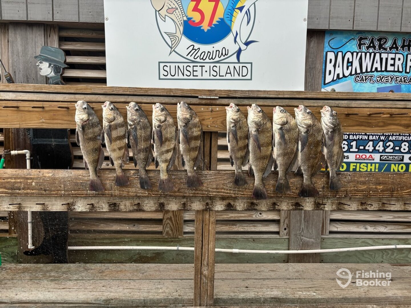 Corpus Christi Report Photo 0