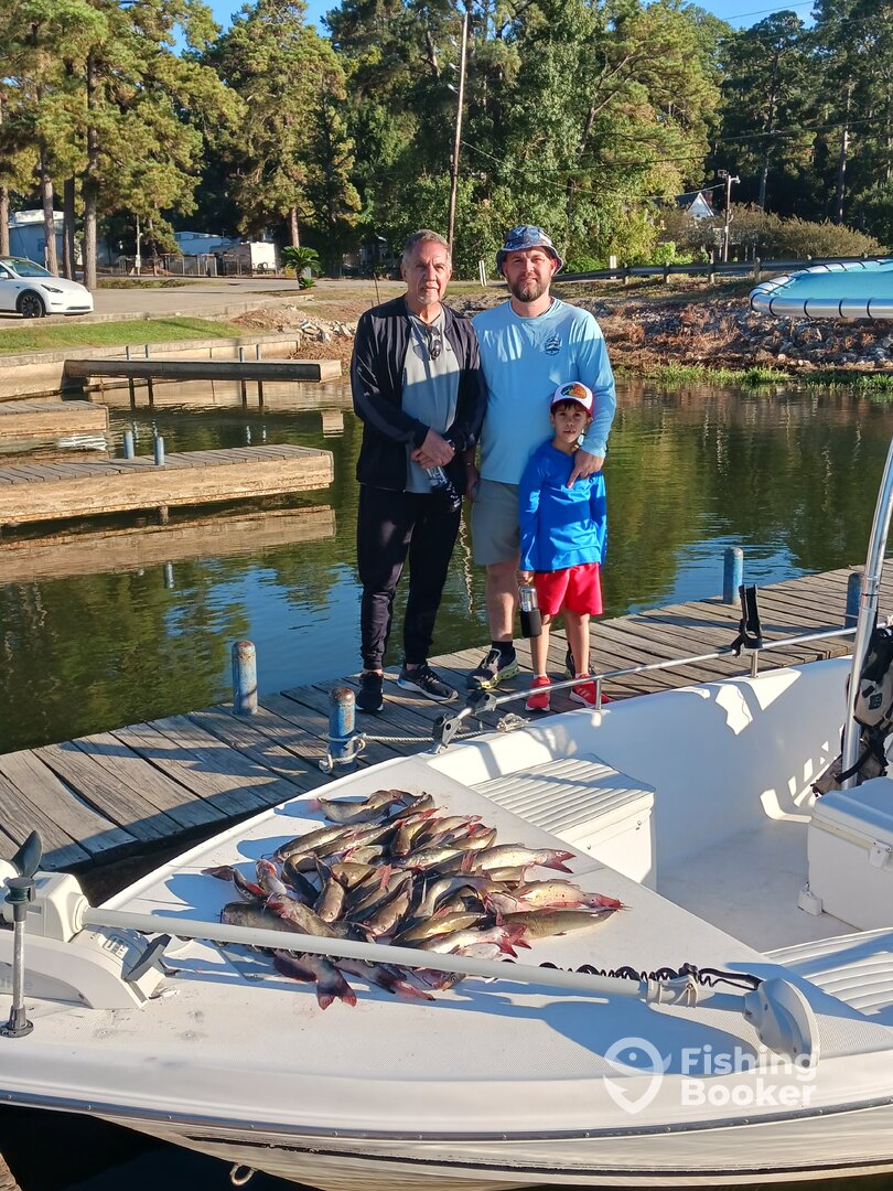 Willis Report Photo 0