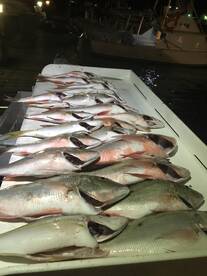 Bottom Fishing with group of kids