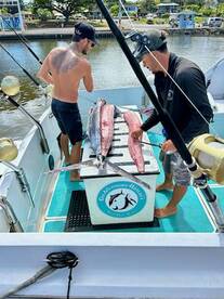 Haleiwa Report Photo 2