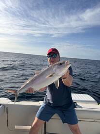 Barcelona Report Photo 2