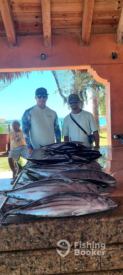 San Jose del Cabo Report Photo 0