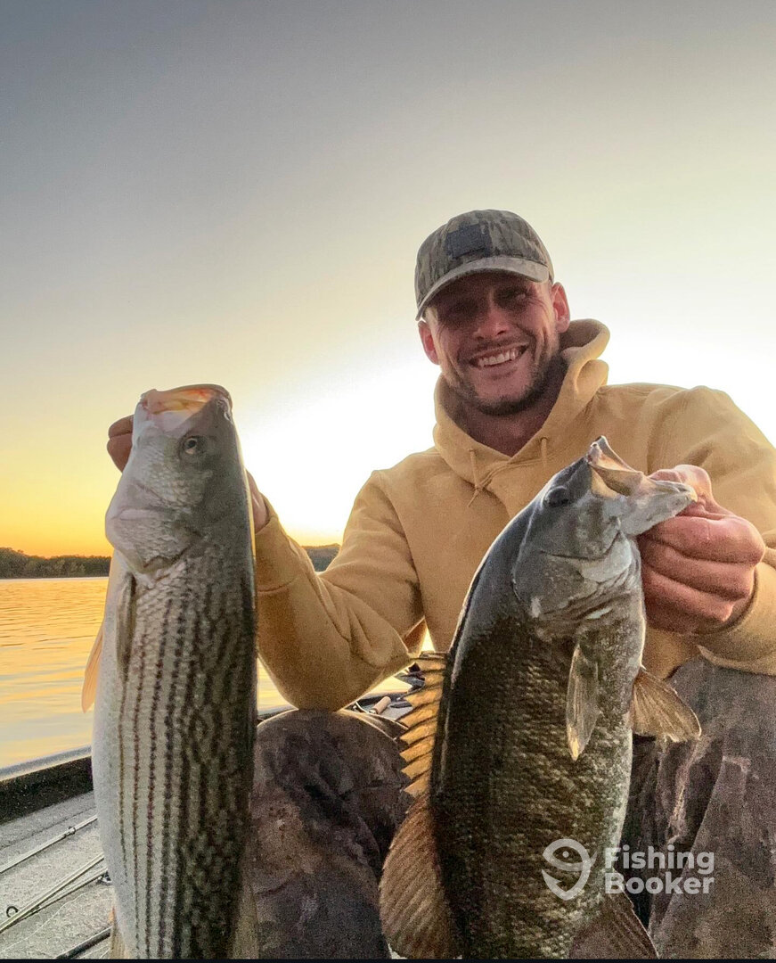 Hendersonville Report Photo 0