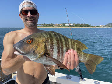 Punta Mita Report Photo 1