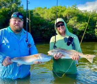 Palmetto Report Photo 1