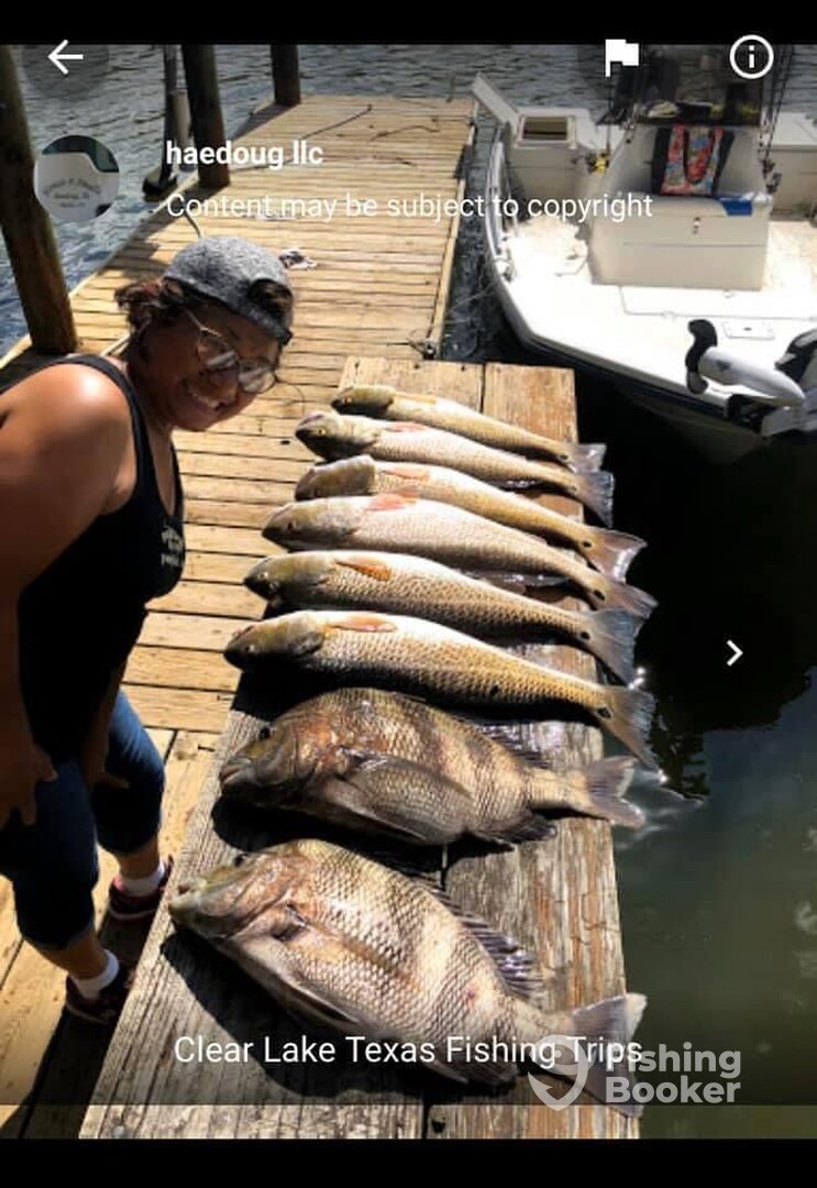 Houston Report Photo 0