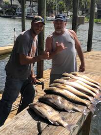 Houston Report Photo 1