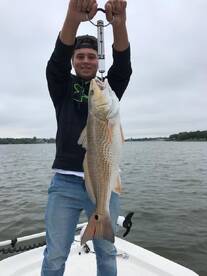 Houston Report Photo 2