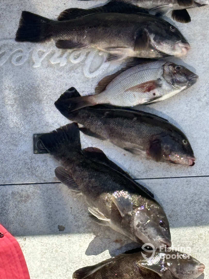 Stamford Report Photo 0