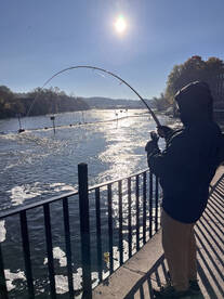 Oswego Report Photo 1